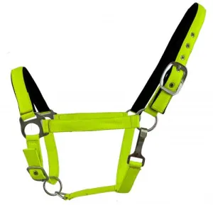 FLUORESCENT NEOPRENO HALTER - HORSE SIZE