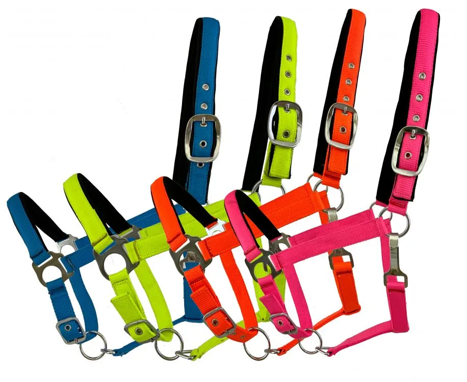 FLUORESCENT NEOPRENO HALTER - HORSE SIZE