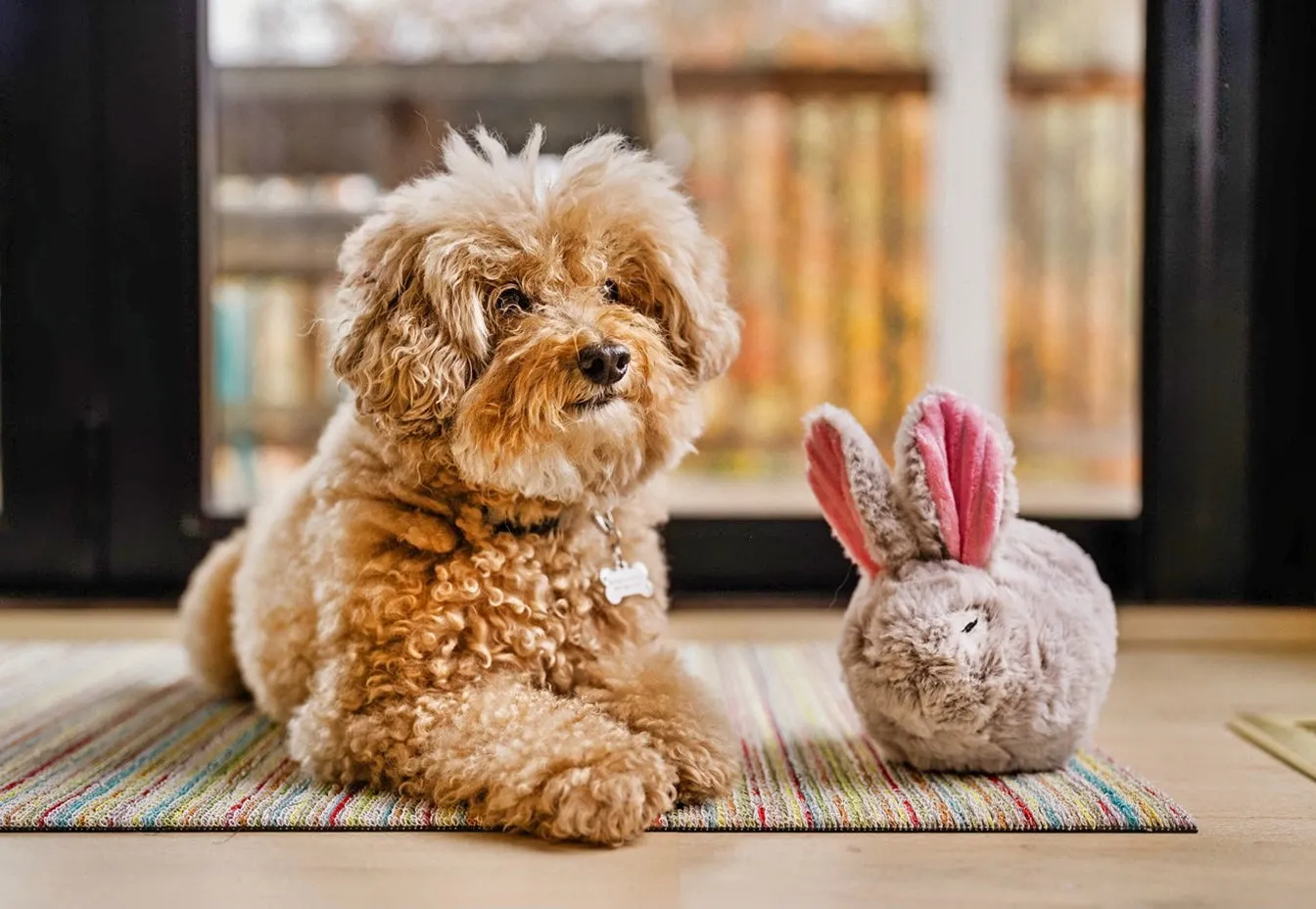 Forest Friends Baxter the Bunny