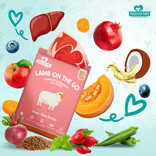Fresh For Paws Chicken Pot Pie and Fish Supper and Lamb On The Go Wet Dogs Food Combo