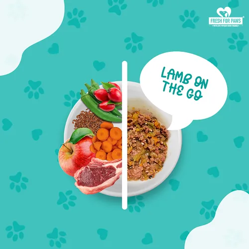 Fresh For Paws Chicken Pot Pie and Fish Supper and Lamb On The Go Wet Dogs Food Combo