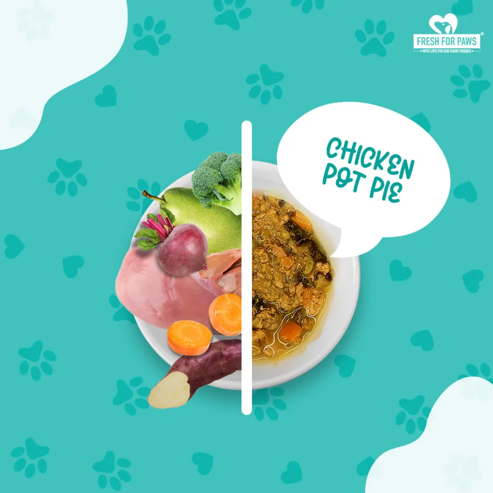 Fresh For Paws Chicken Pot Pie and Fish Supper and Lamb On The Go Wet Dogs Food Combo