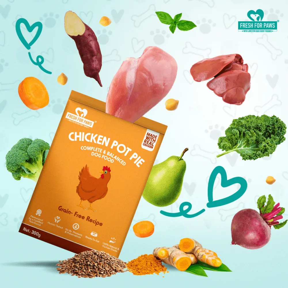 Fresh For Paws Chicken Pot Pie Wet Food for Dogs (100g)