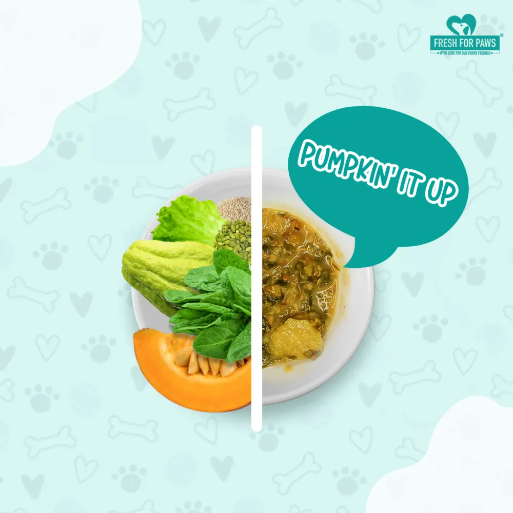 Fresh For Paws Pumpkin It Up Dog Wet Food (100g)