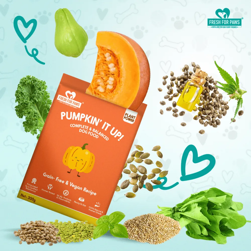 Fresh For Paws Pumpkin It Up Dog Wet Food (100g)