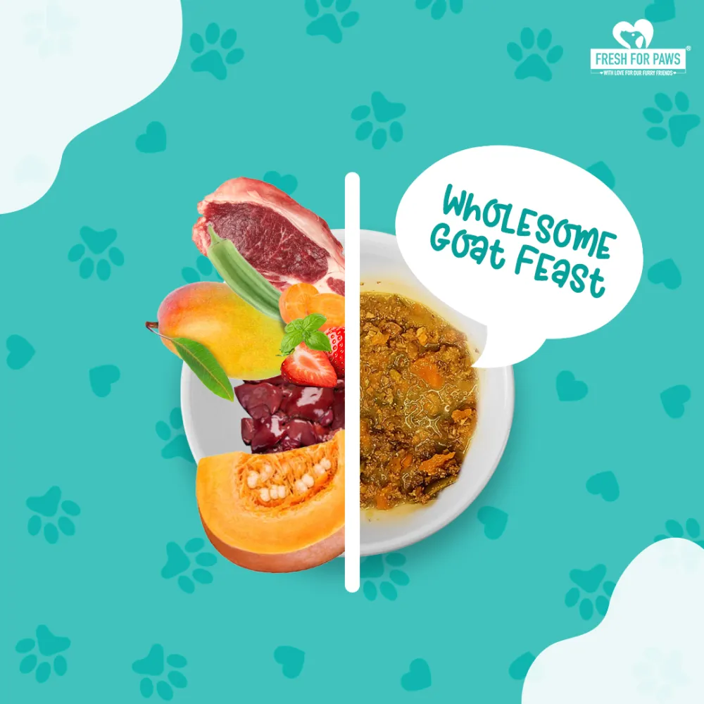 Fresh For Paws Wholesome Goat Feast Wet Food for Dogs (300g)
