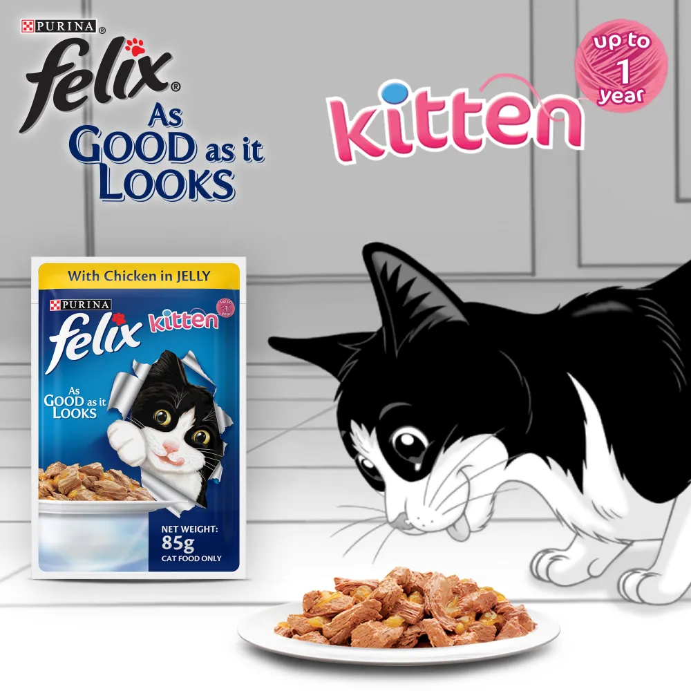 Friskies Kitten Cat Dry Food and Purina Felix Chicken with Jelly Kitten Cat Wet Food Combo