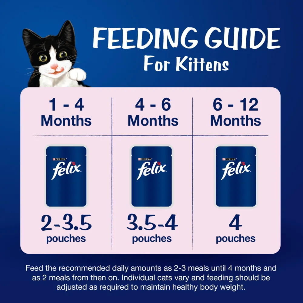Friskies Kitten Cat Dry Food and Purina Felix Chicken with Jelly Kitten Cat Wet Food Combo