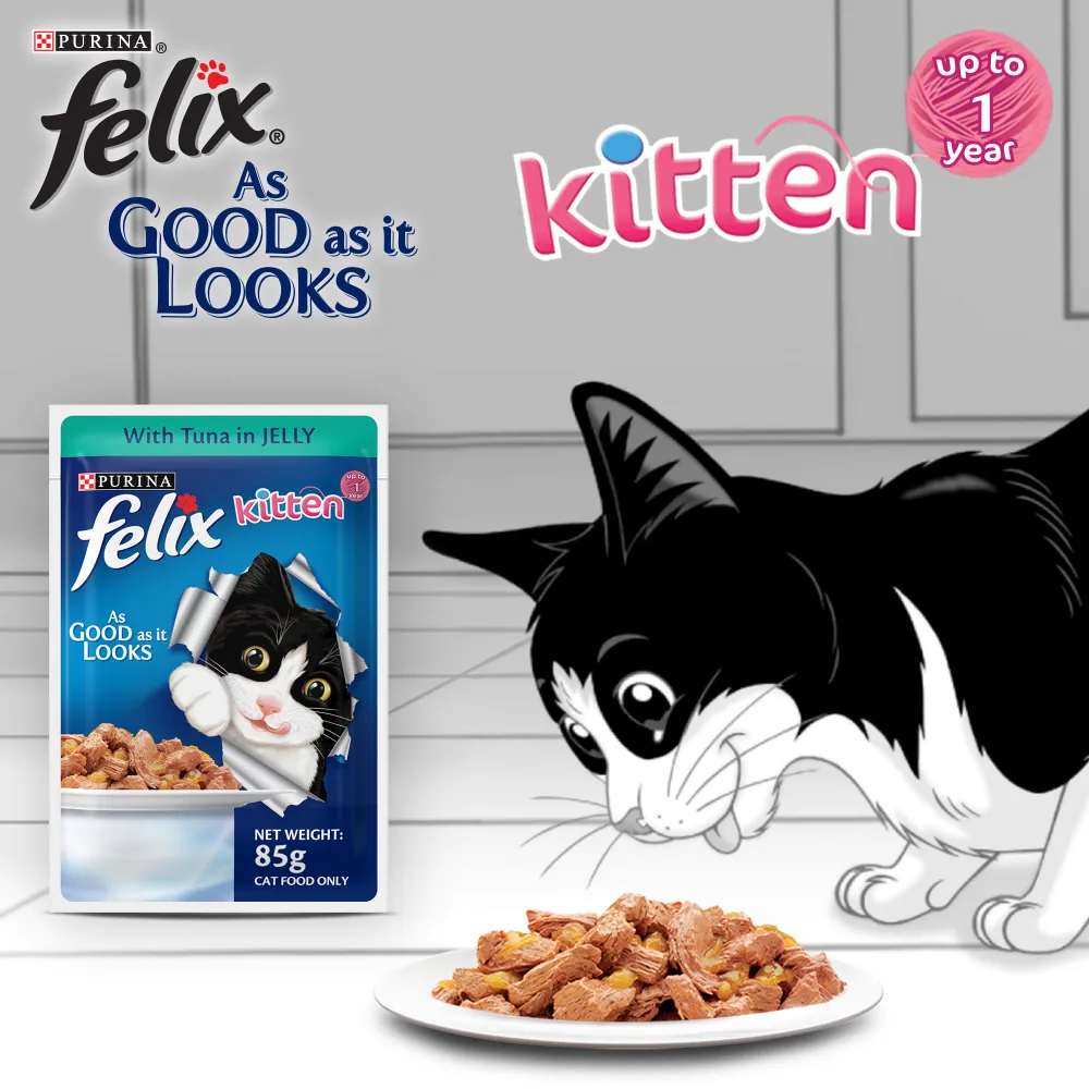 Friskies Kitten Cat Dry Food and Purina Felix Tuna with Jelly Kitten Wet Food Combo