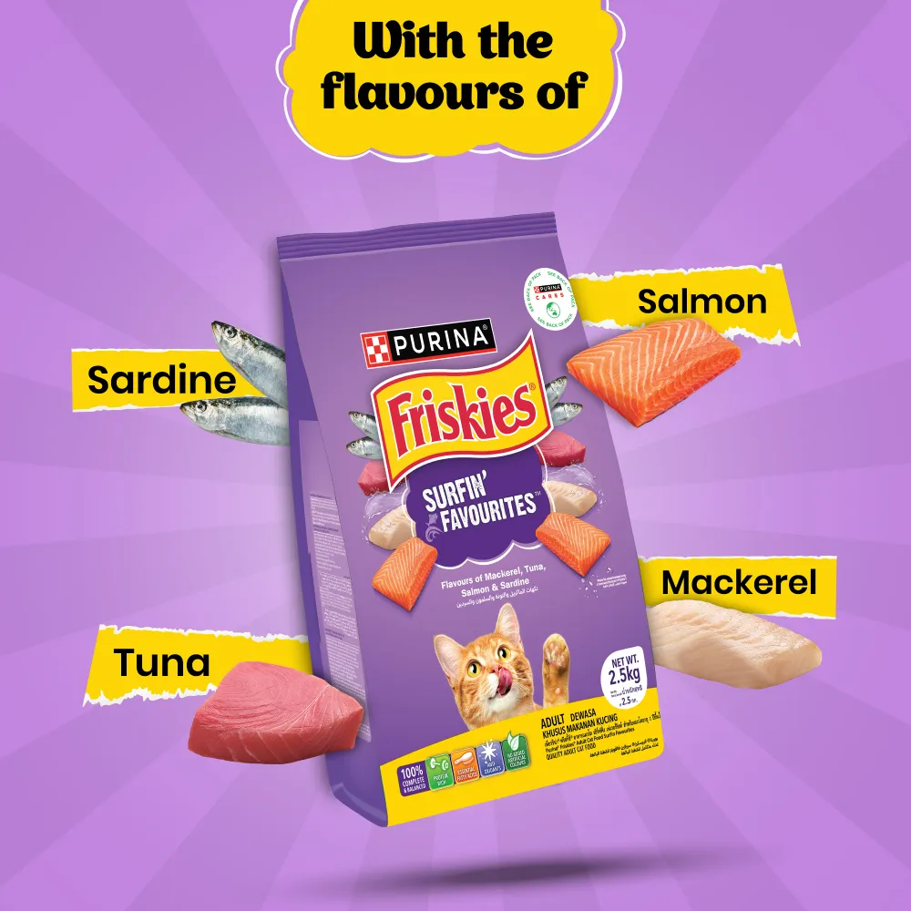 Friskies Surfin Cat Dry Food and Purina Felix Chicken with Jelly Adult Cat Wet Food Combo