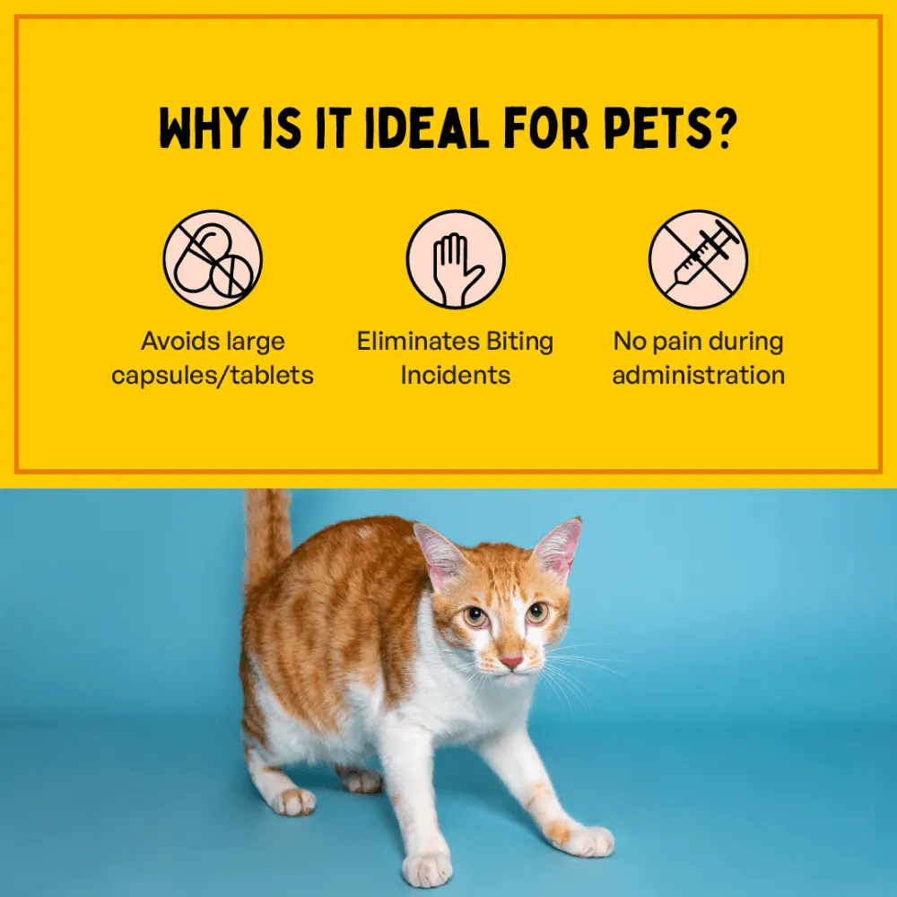 Furlicks Gut Health Supplement and Himalaya Himpyrin Anti Inflammatory & Pain Relief Drops Combo for Dogs and Cats