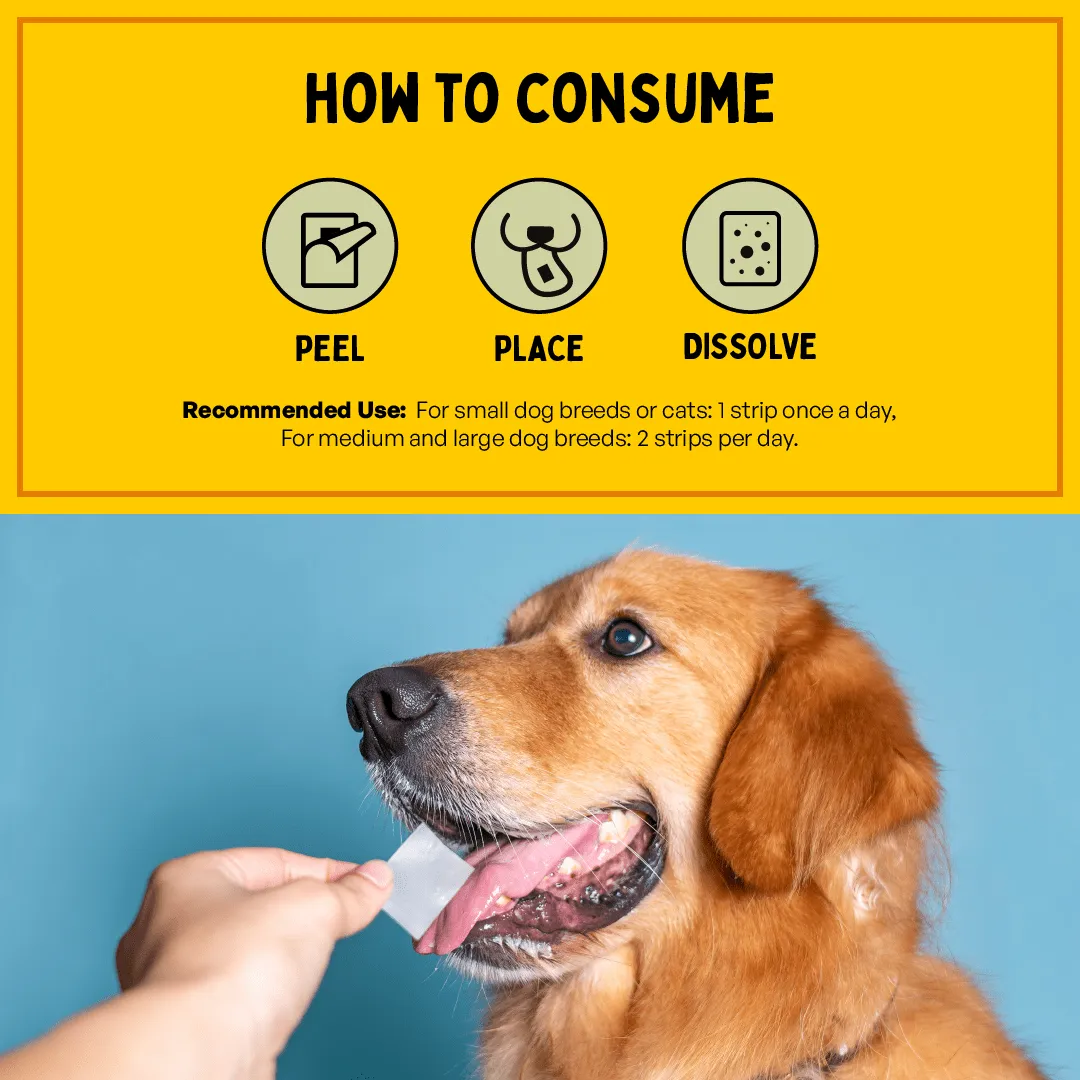 Furlicks Gut Health Supplement for Cats and Dogs