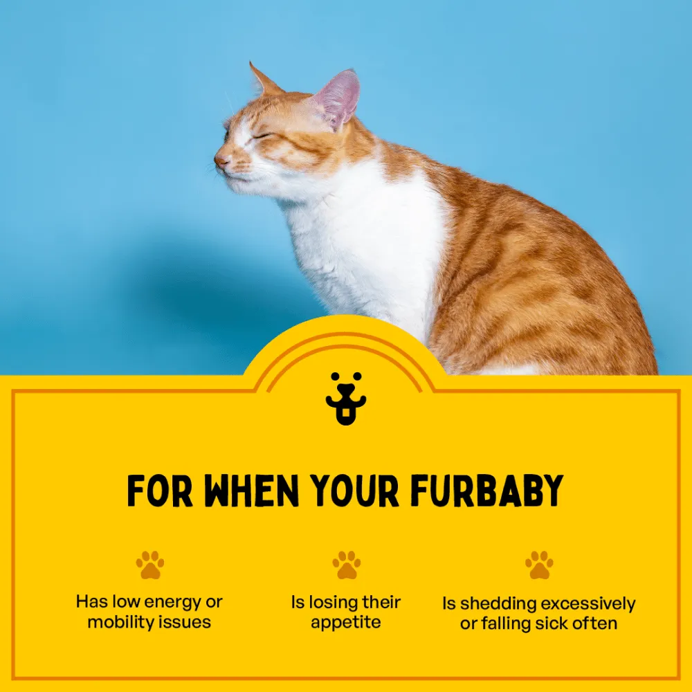 Furlicks Multivitamin for Cats and Dogs (Limited Shelf Life)