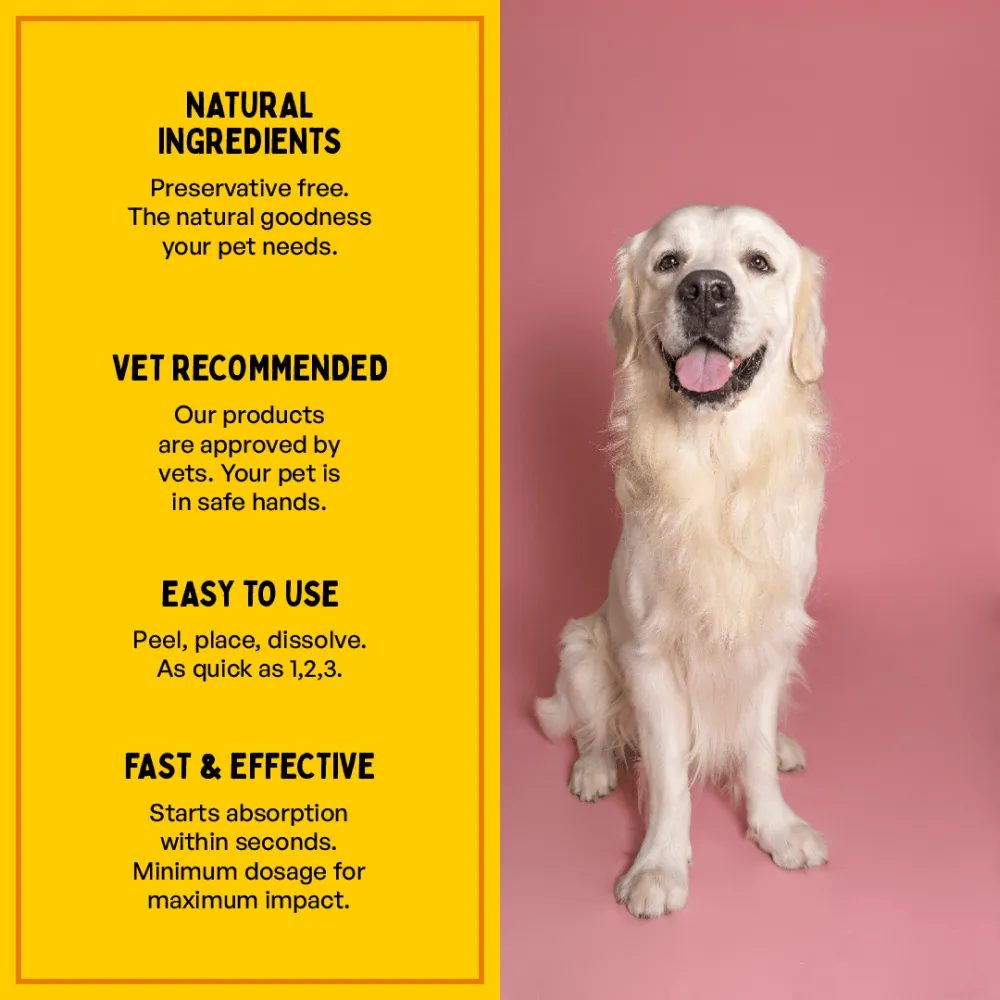 Furlicks Multivitamin for Cats and Dogs (Limited Shelf Life)
