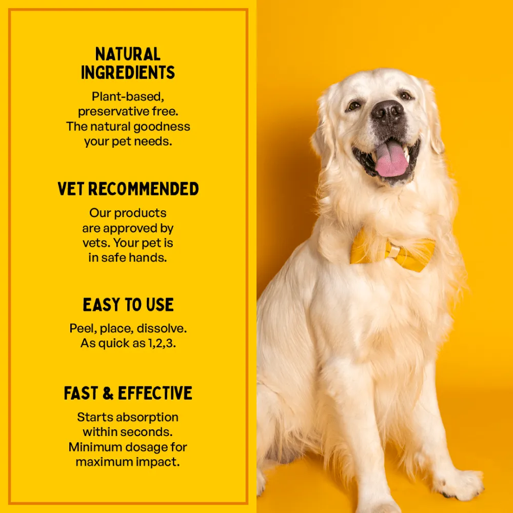 Furlicks Skin & Coat Supplement and Himalaya Furglow Skin and Coat Tonic Combo for Dogs and Cats