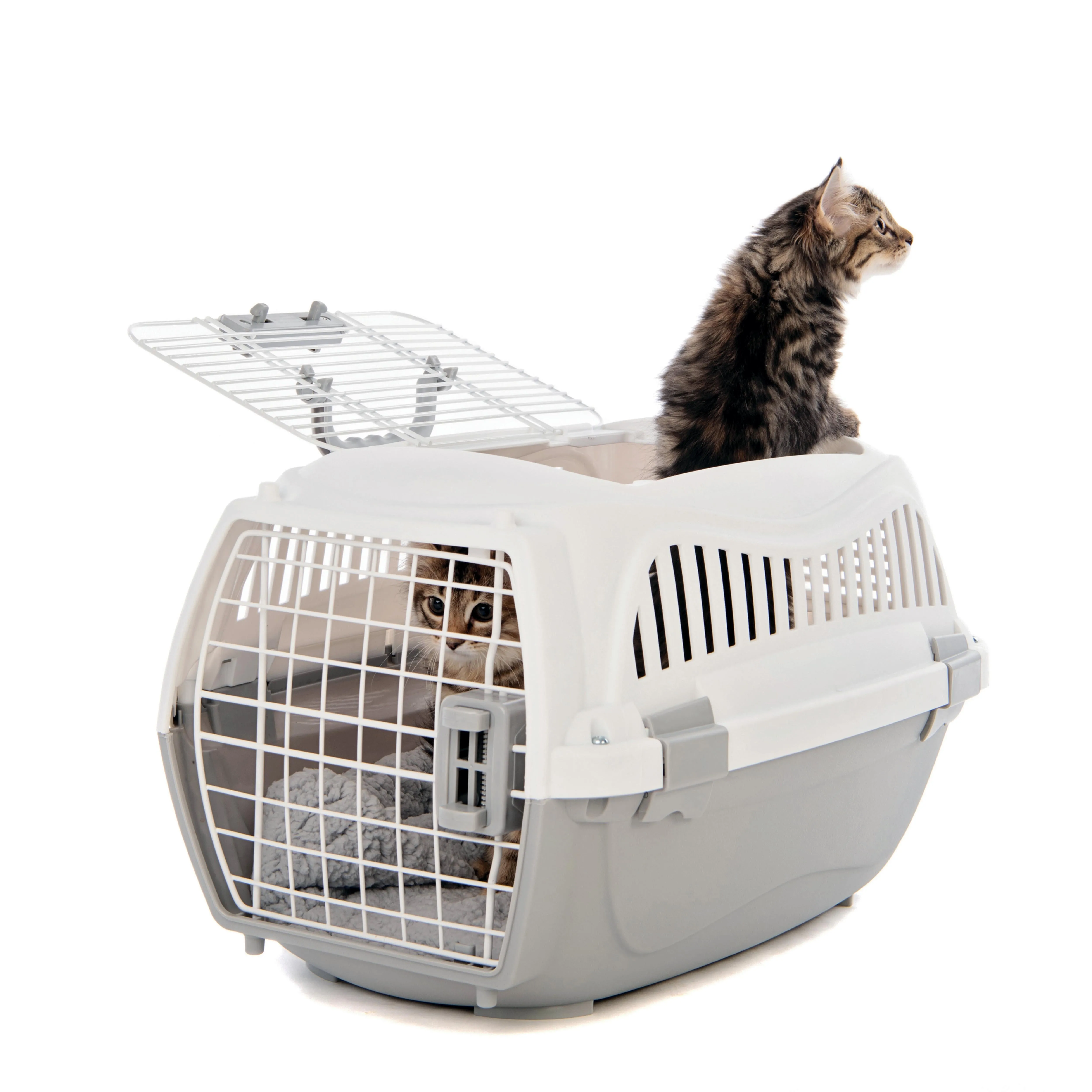 GIRO Carrier