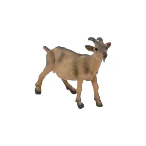 Goat