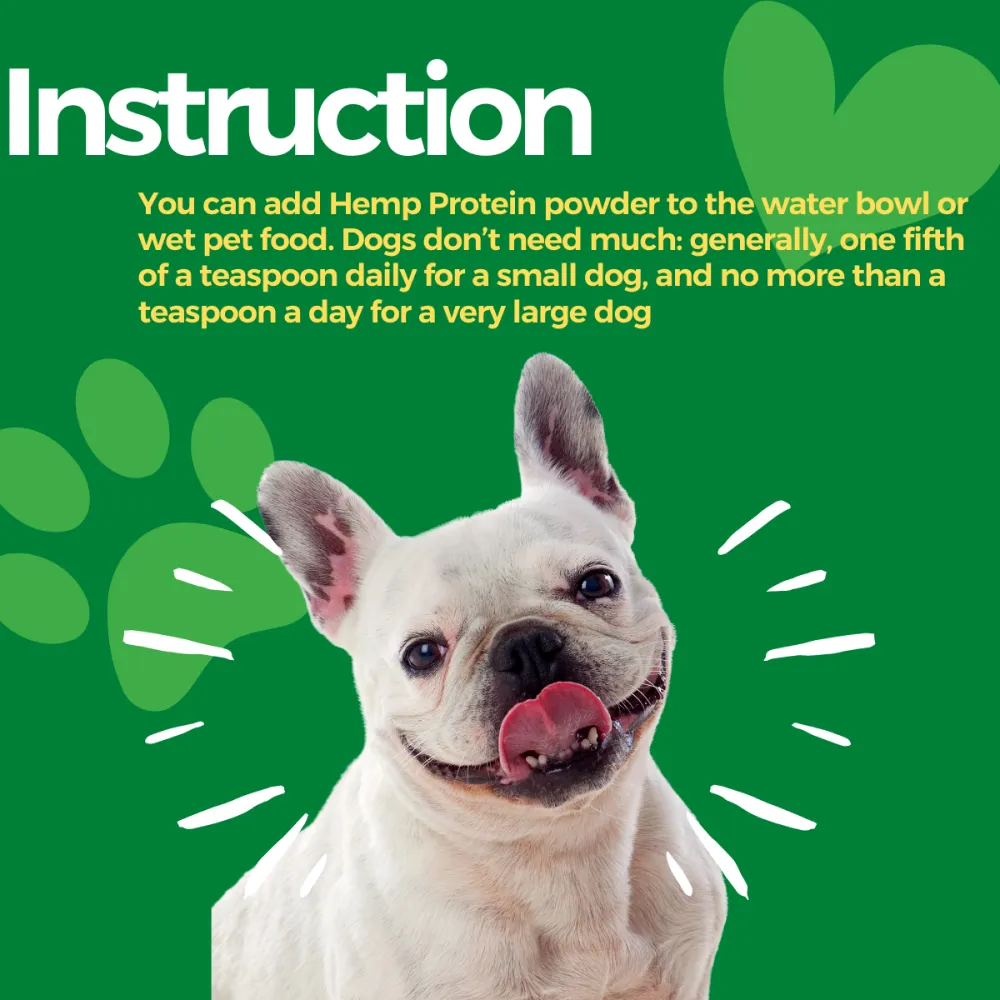 Healing Leaf Hemp Protein Powder for Dogs and Cats