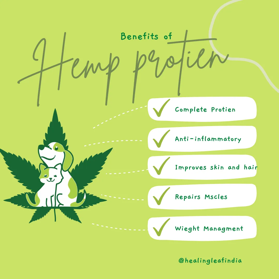 Healing Leaf Hemp Protien Powder for Pets and Fresh For Paws Eggstravaganza Dog Wet Food Combo