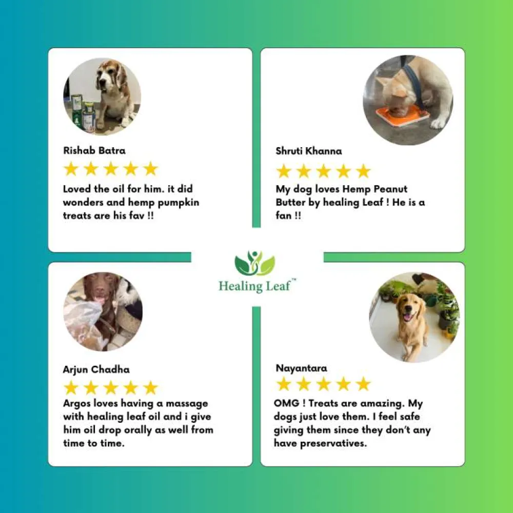 Healing Leaf Hemp Pumpkin Treats and Peanut Butter for Dogs Combo