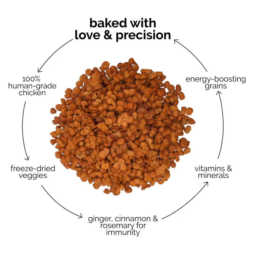 Henlo Chicken and Egg Baked Dry Food for Adult Dogs & Puppies and Chicken Pops Treats for Dogs Combo