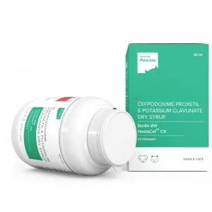 Hester Hestacef CV Dry Syrup (Cefpodoxime Proxetil) 30ml for Dogs and Cats