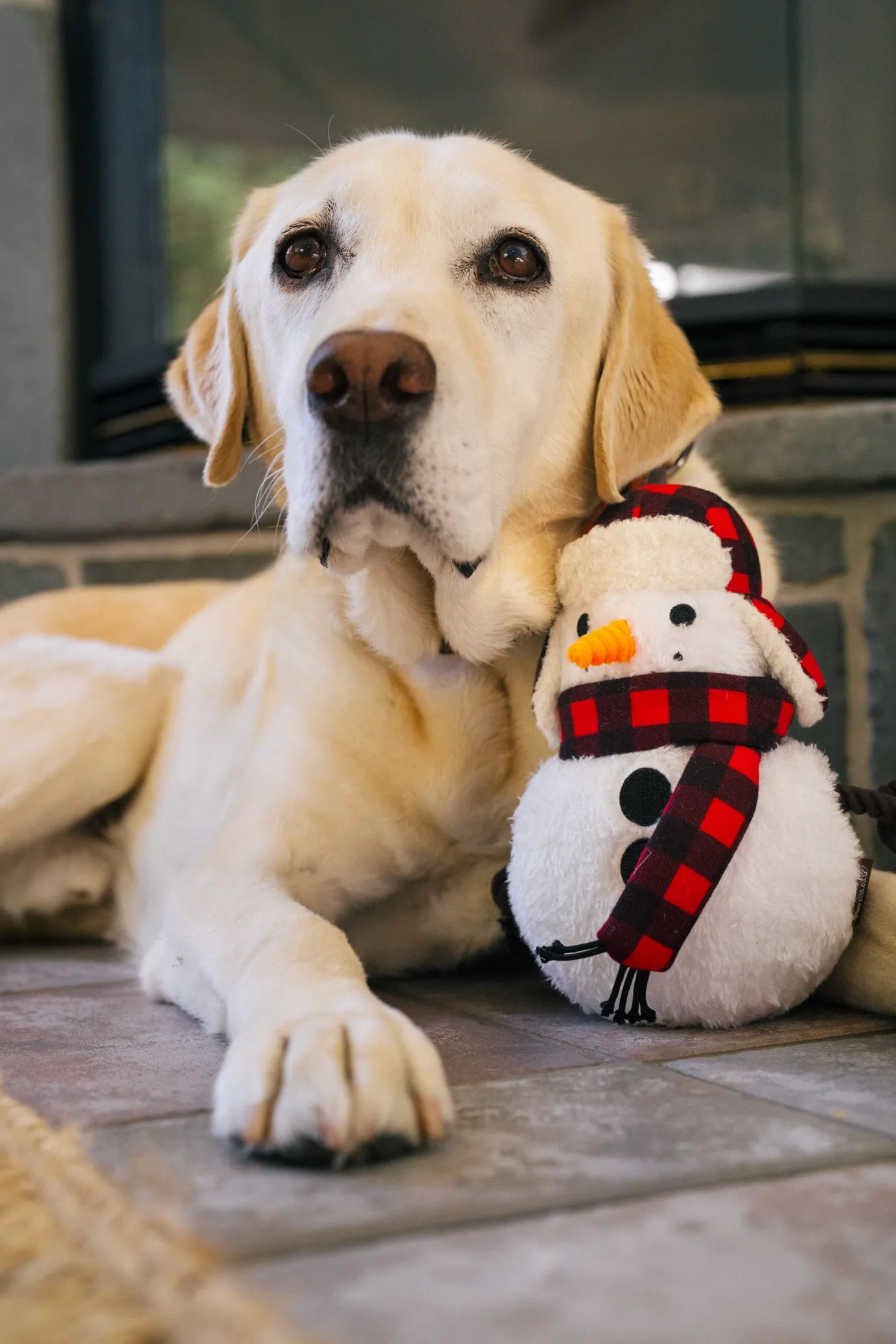 Home for the Holidays Blizzard Buddy