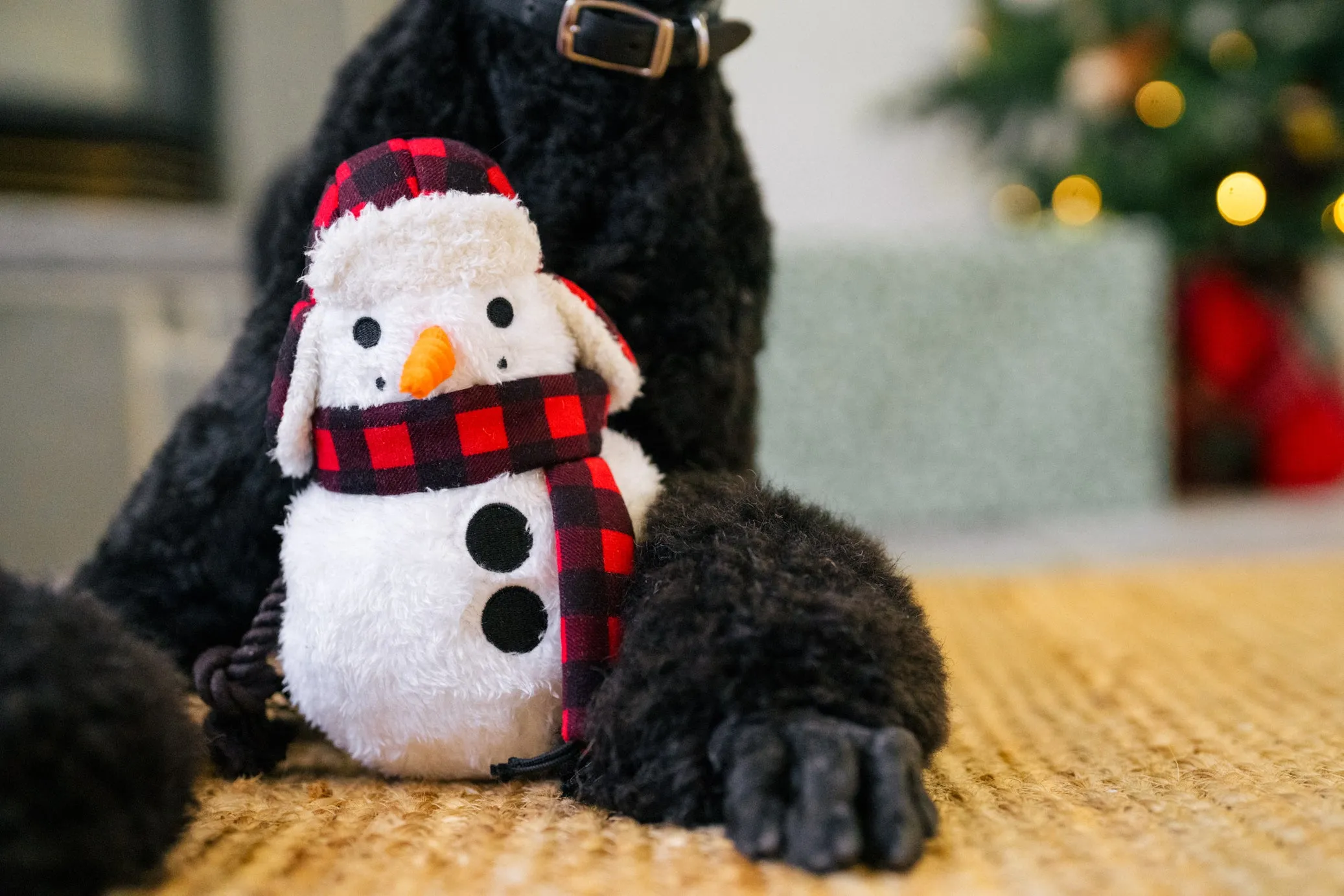Home for the Holidays Blizzard Buddy