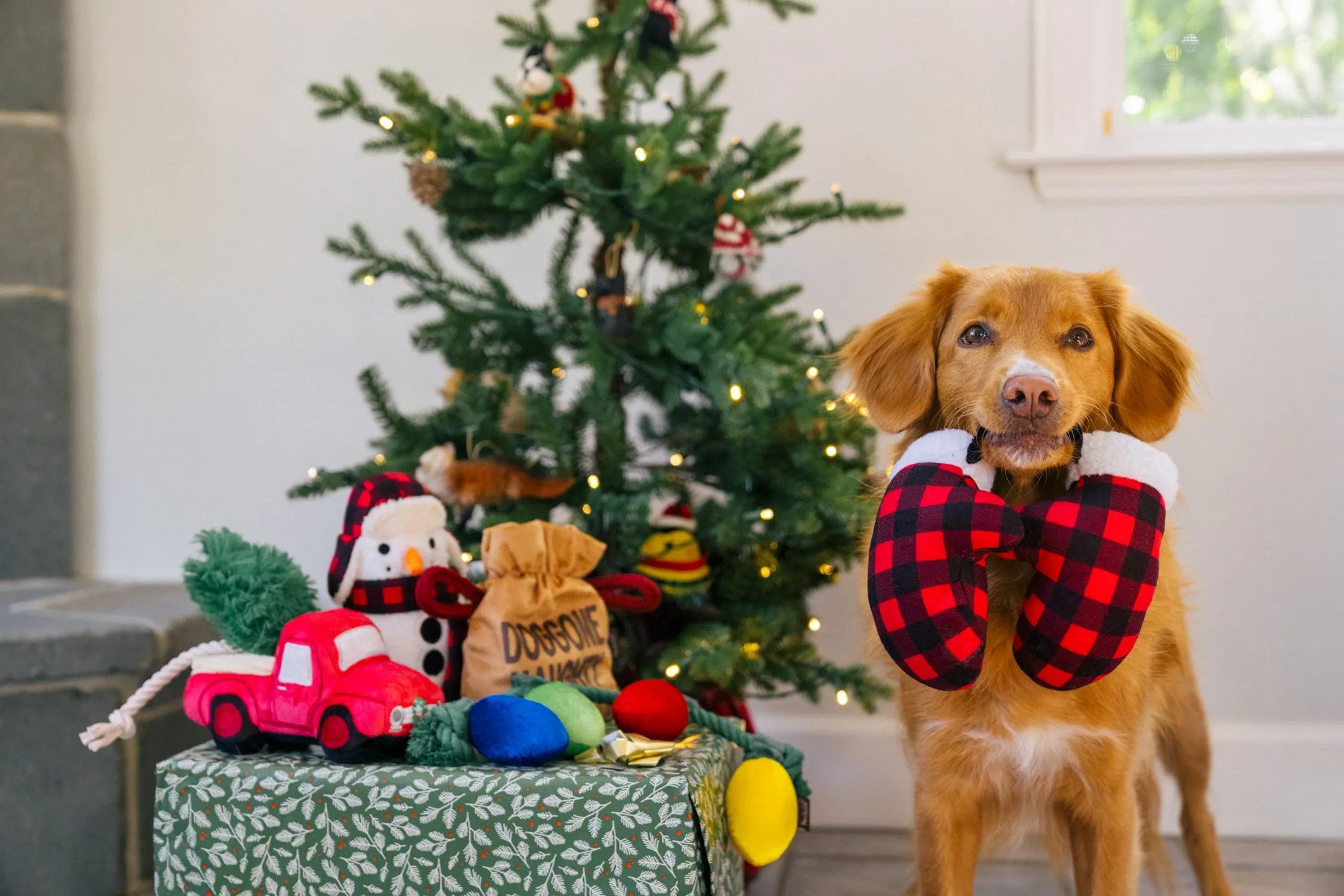 Home for the Holidays Collection