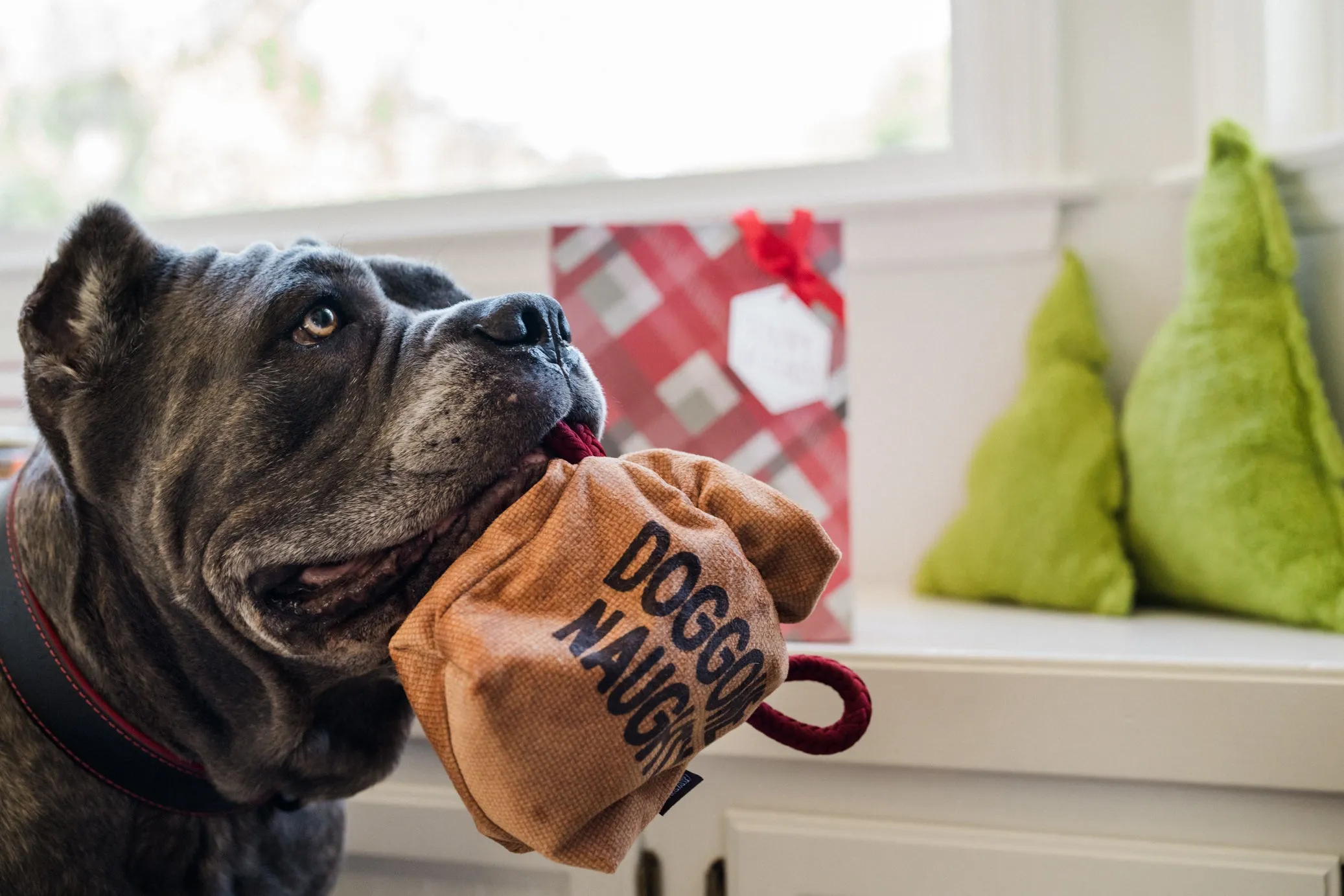 Home for the Holidays Collection