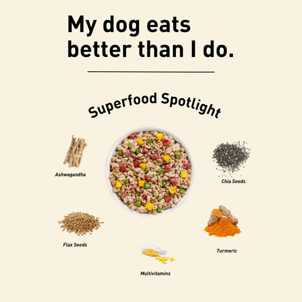 Homiee & Ginger Power Bowl Surf & Turf Fresh Food for Dogs