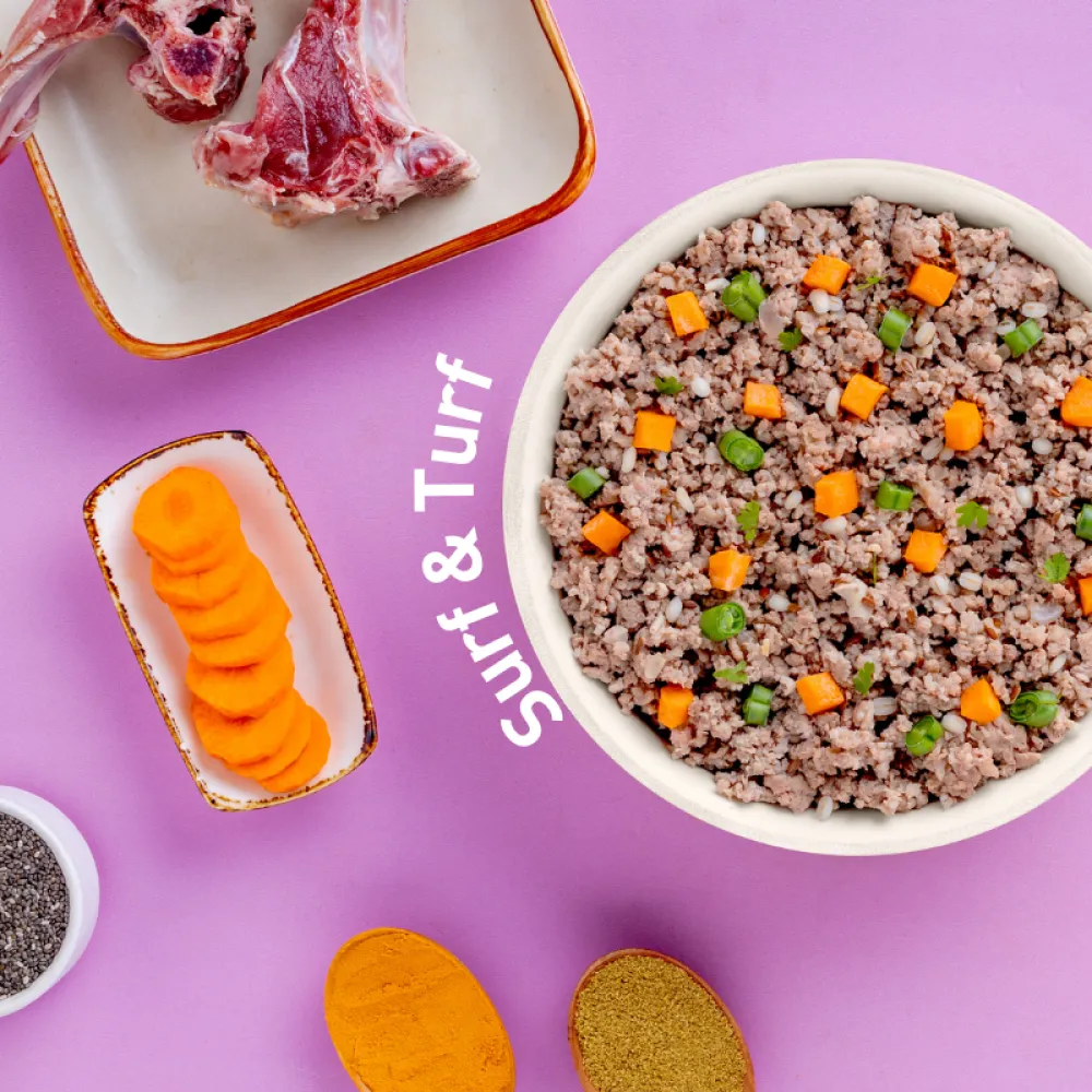 Homiee & Ginger Power Bowl Surf & Turf Fresh Food for Dogs