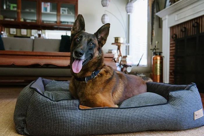 Houndstooth Lounge Bed