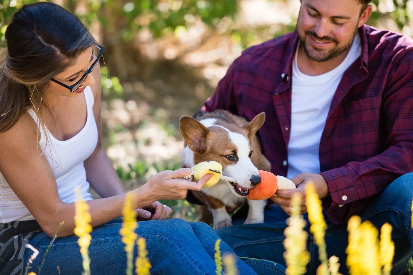 Howling Haunts Canine Corn
