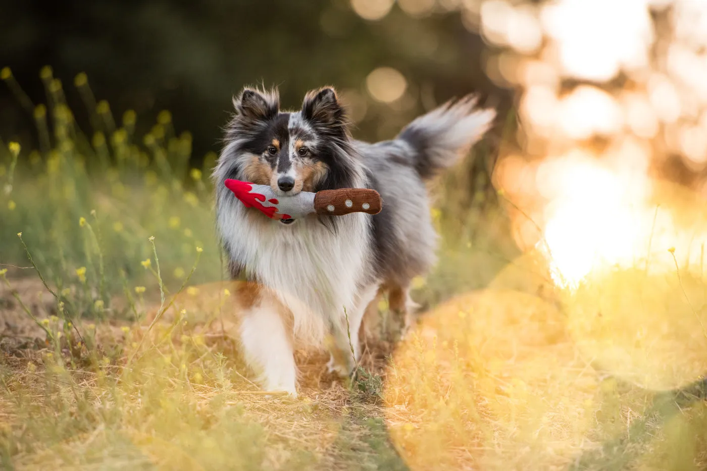 Howling Haunts Doggy Dagger