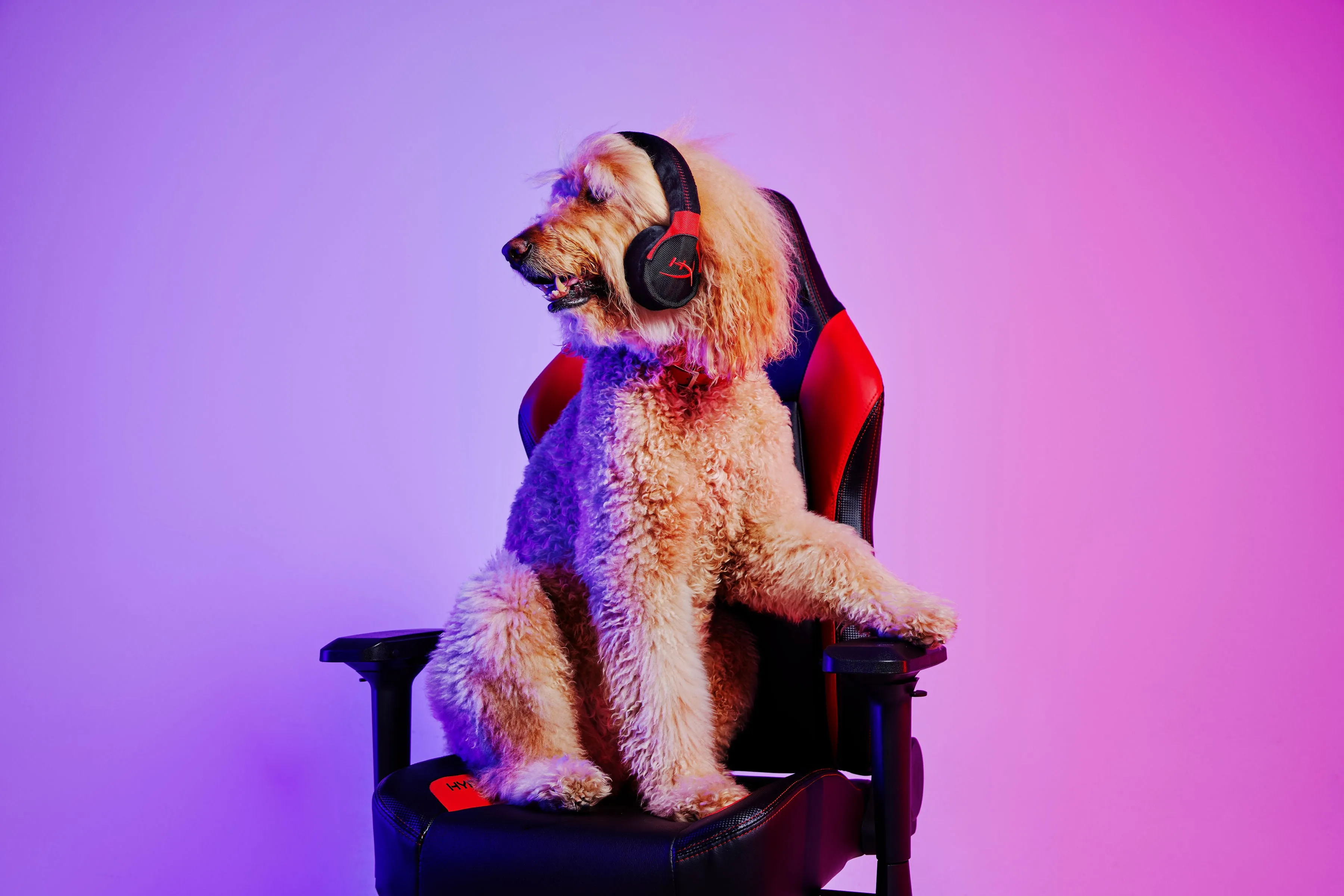 HyperX x P.L.A.Y. Cloud Arfa Gaming Headset