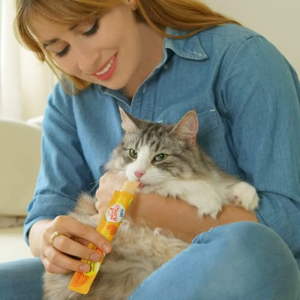 INABA Churu Pops Chicken Flavour Cat Treat