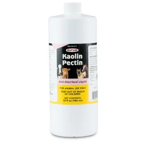 KAOLIN PECTIN ANTI-DIARRHEAL LIQUID 32 OZ