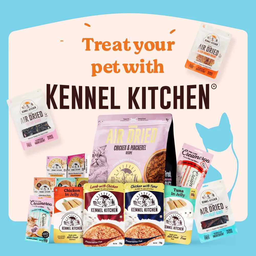 Kennel Kitchen Fish Chunks in Gravy Kitten and Creameroo Chicken with Mackerel Creamy Cat Treats Combo