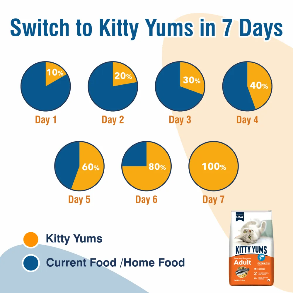 Kitty Yums Ocean Fish Adult (1  years) Cat Dry Food