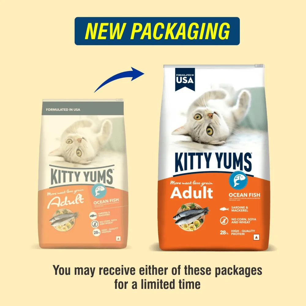 Kitty Yums Ocean Fish Adult (1  years) Cat Dry Food