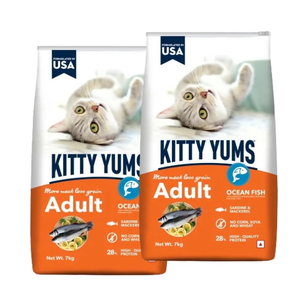 Kitty Yums Ocean Fish Adult (1  years) Cat Dry Food