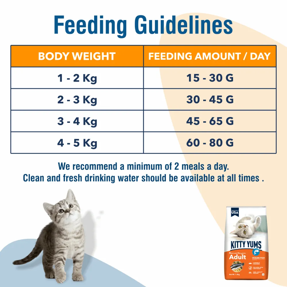 Kitty Yums Ocean Fish Adult (1  years) Cat Dry Food