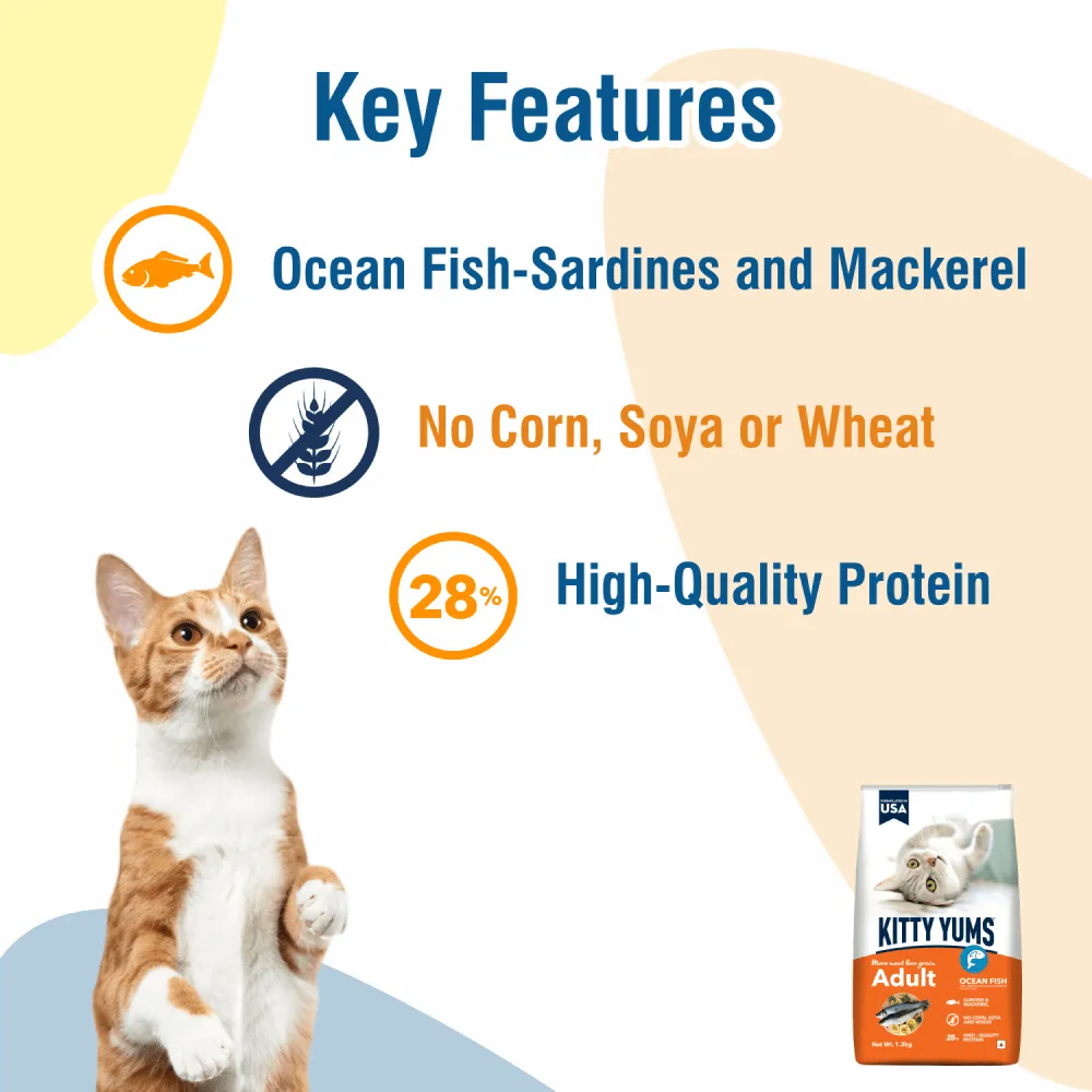 Kitty Yums Ocean Fish Adult (1  years) Cat Dry Food
