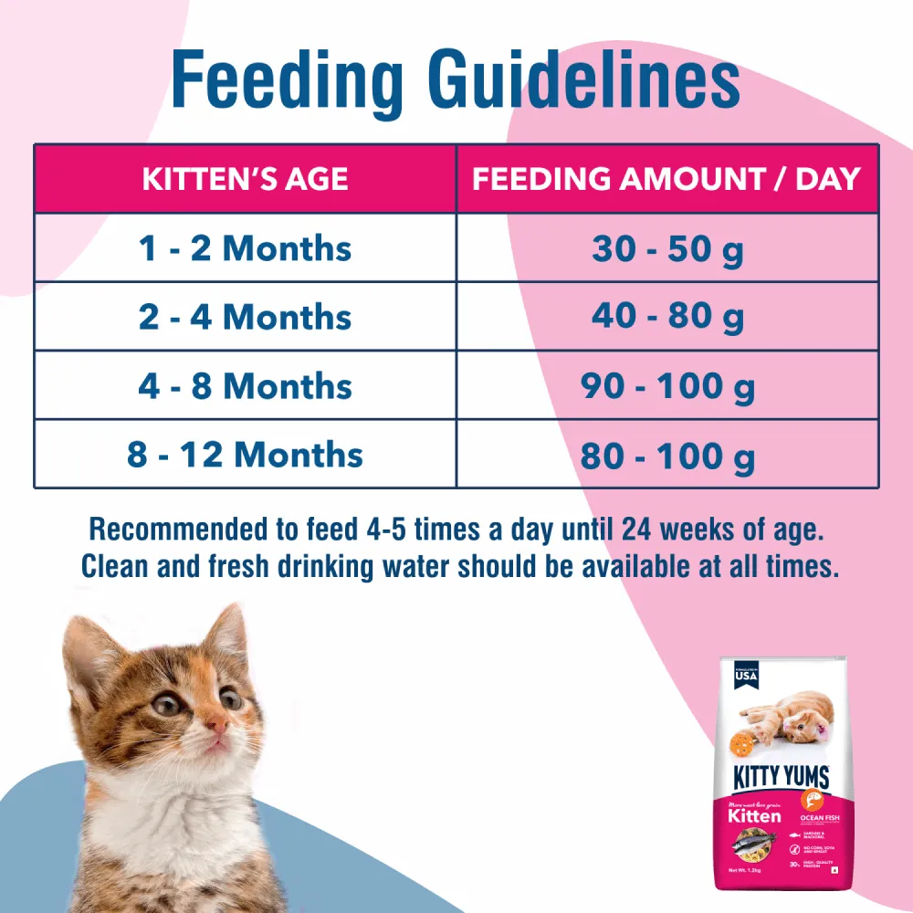 Kitty Yums Ocean Fish Kitten (1 to 12 Months) Cat Dry Food
