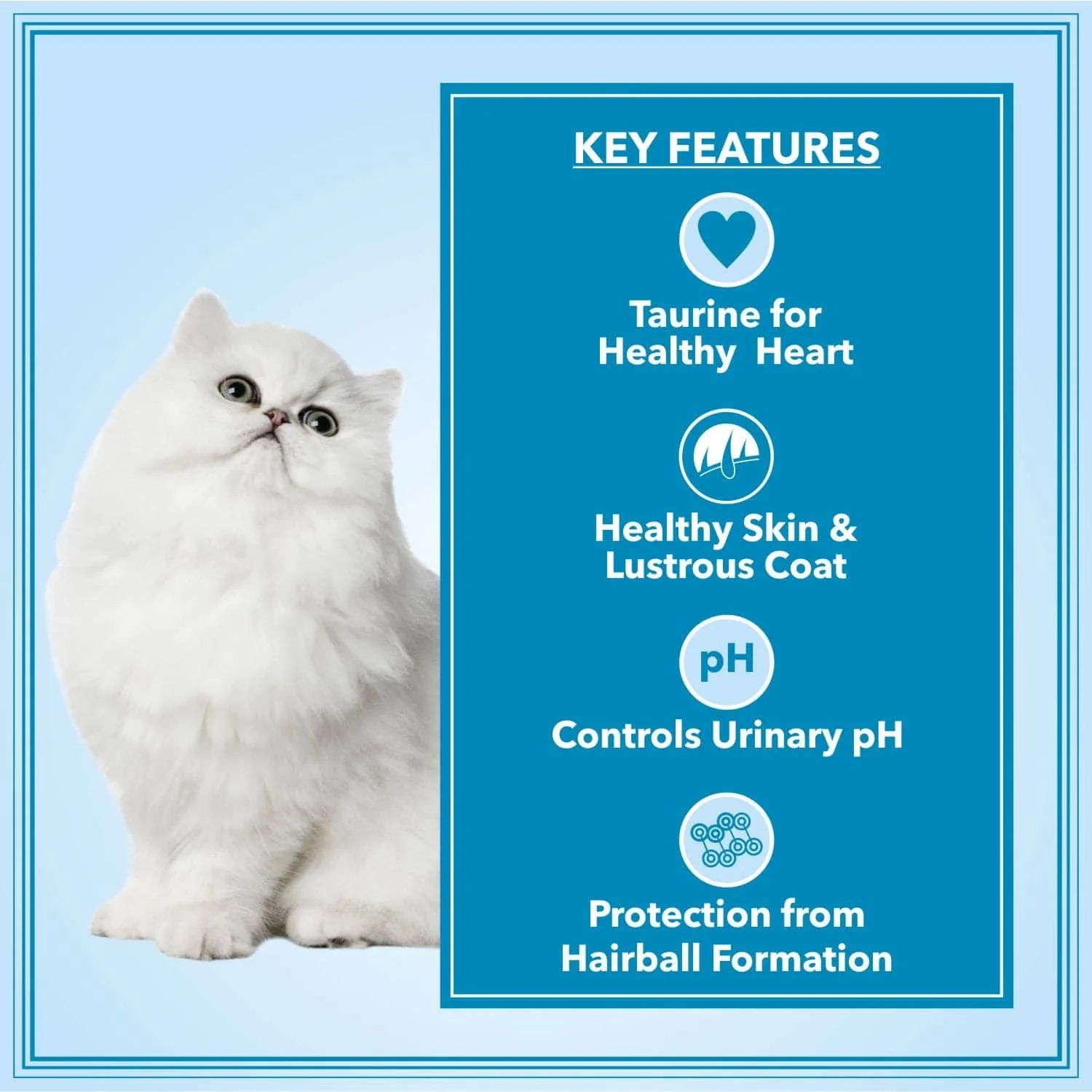 Let's Bite Active Persian Ocean Fish Cat Dry Food