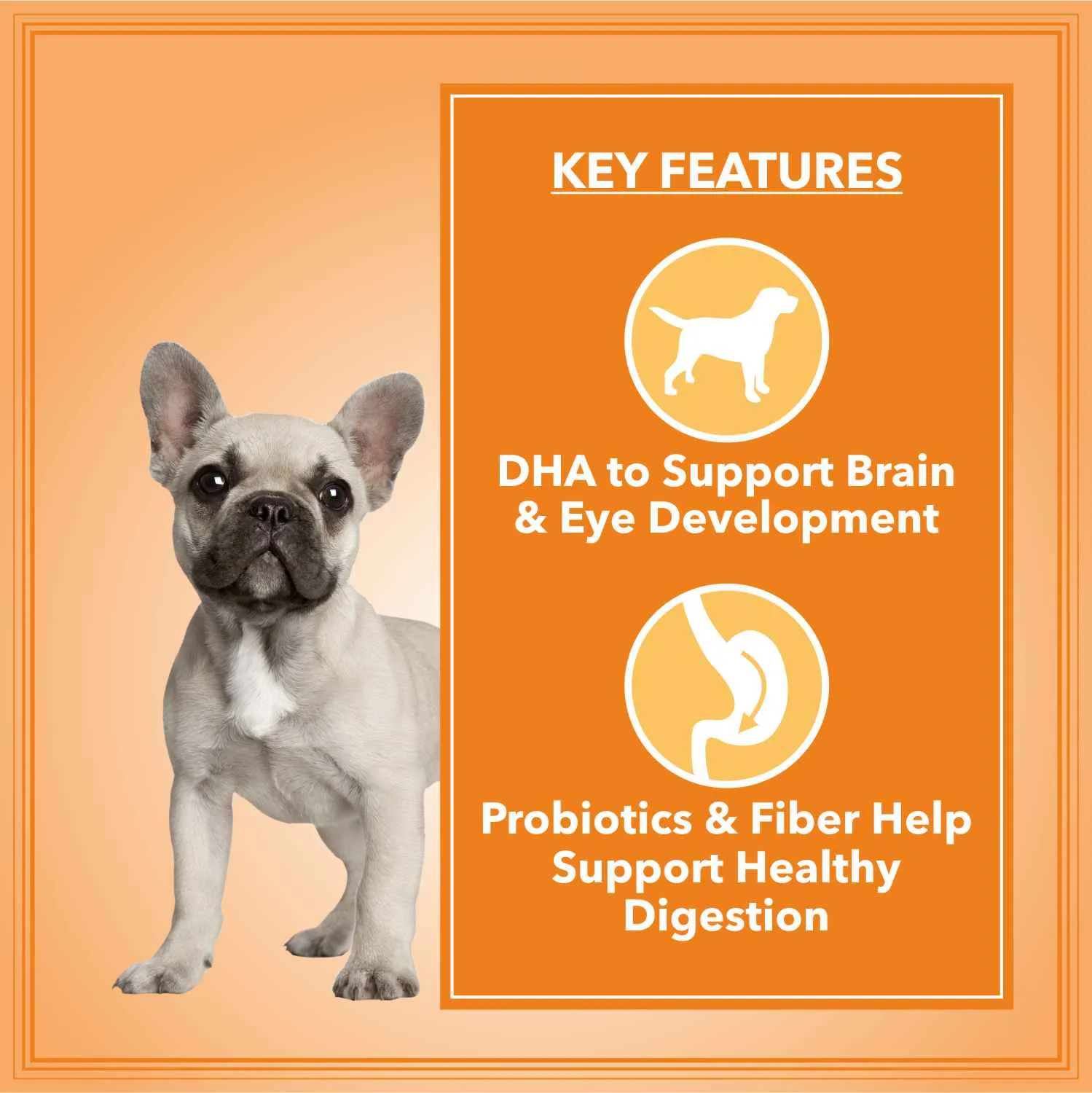 Let's Bite Active Puppy Chicken Dog Dry Food
