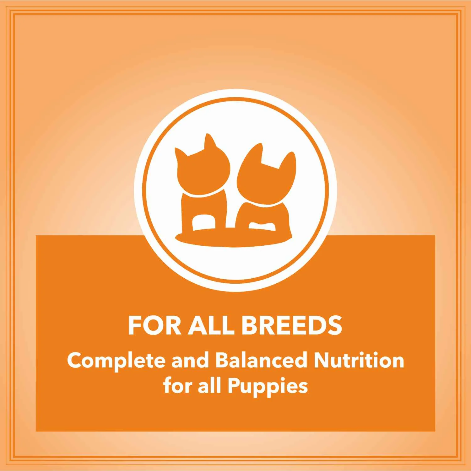 Let's Bite Active Puppy Chicken Dog Dry Food
