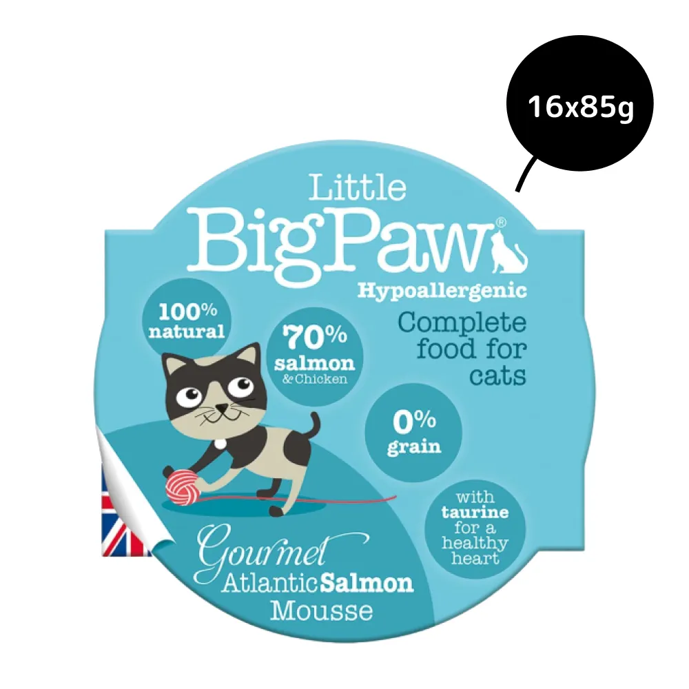 Little Big Paw Atlantic Salmon Mousse Cat Wet Food
