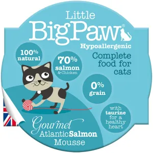 Little Big Paw Atlantic Salmon Mousse Cat Wet Food